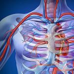 Симптомы и лечение окклюзии сосудов и артерий